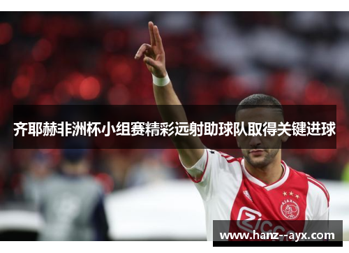 齐耶赫非洲杯小组赛精彩远射助球队取得关键进球